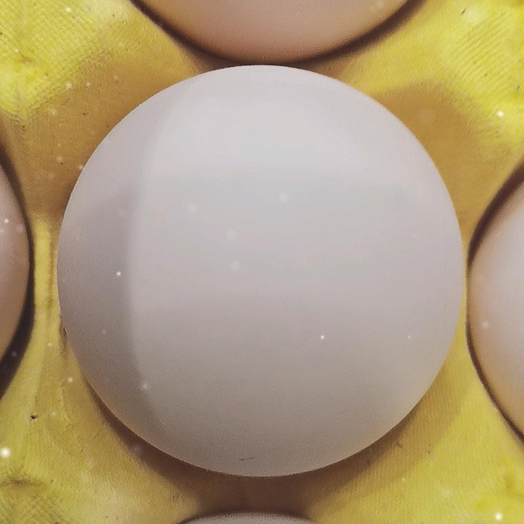 用户806114493169