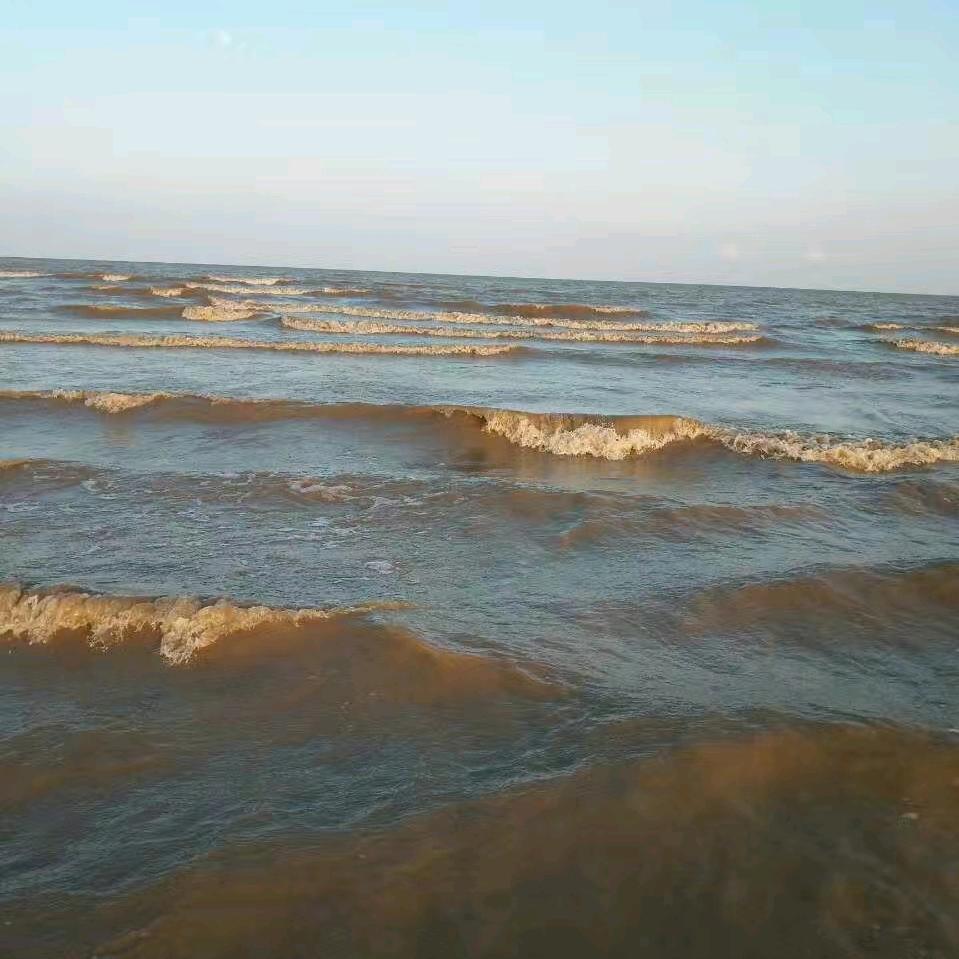 单身流浪