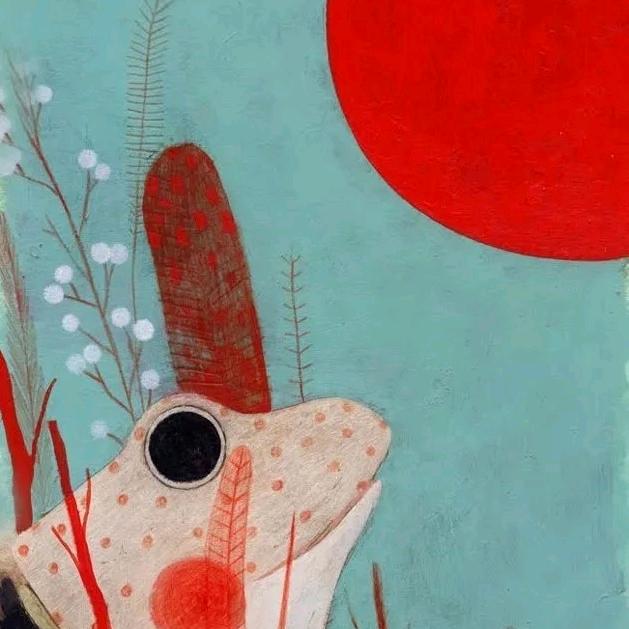 🔥优啵宠物—啵啵鸟🔥