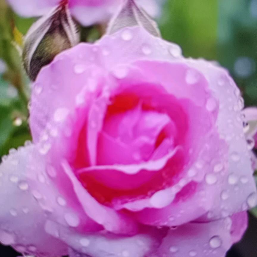 驱北测重商贸臻选阁