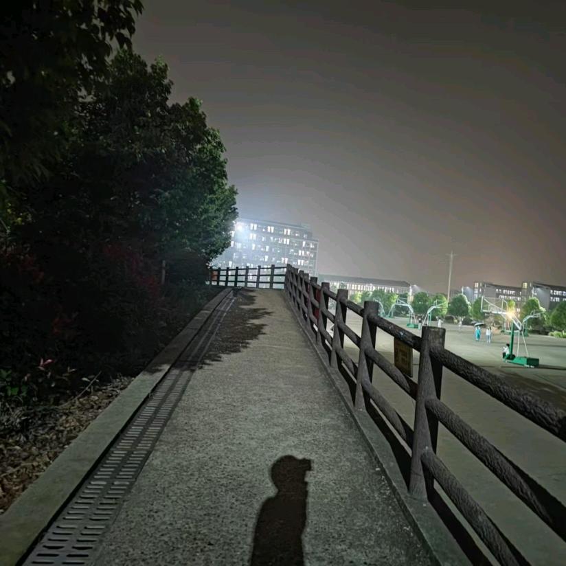 余生只剩下流浪