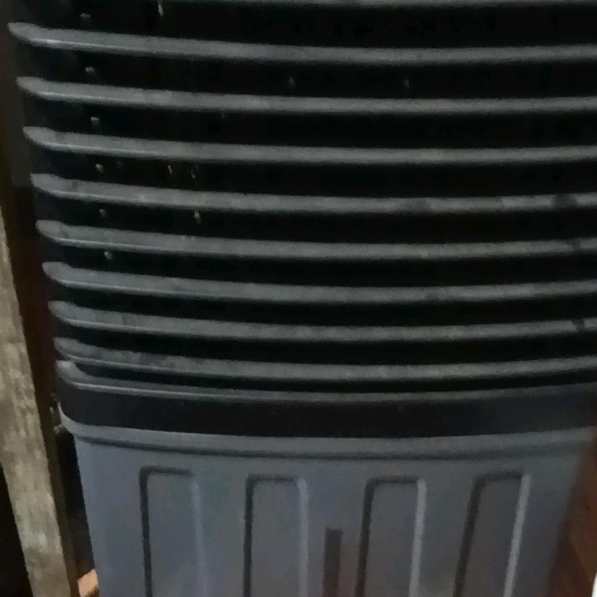 阳光晴天