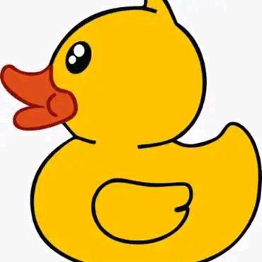 小黄鸭