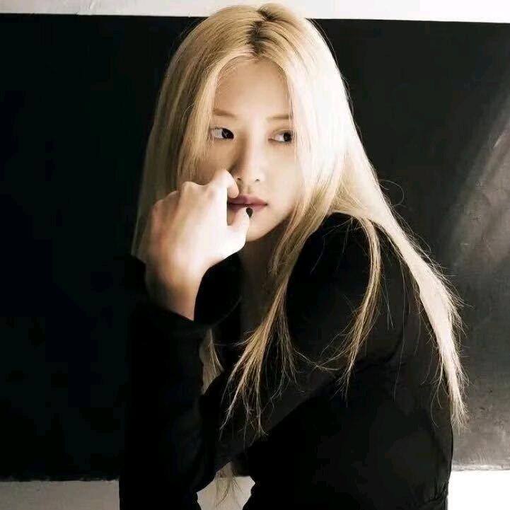 王木木