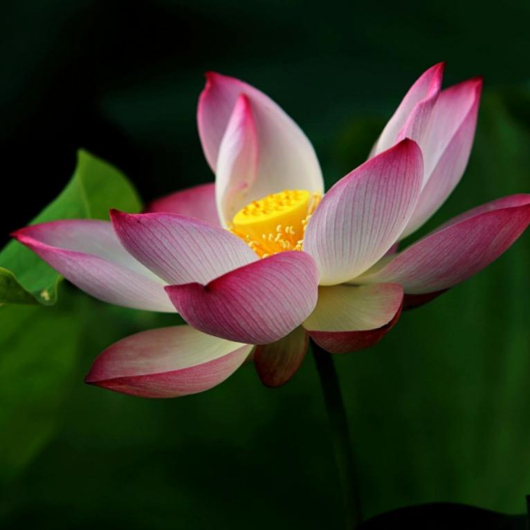 缘💐