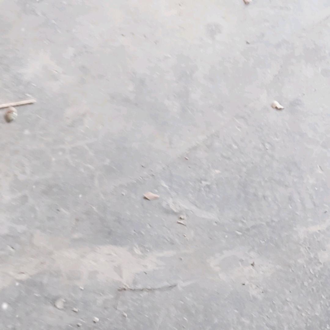 惠州诚信赢天下