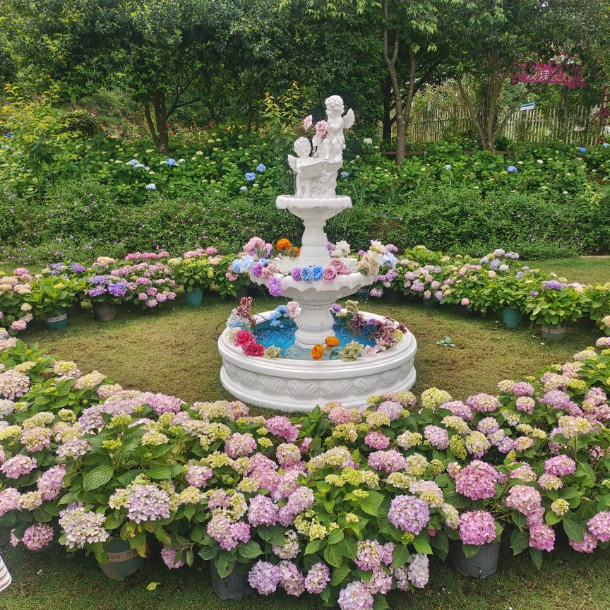 阿琼