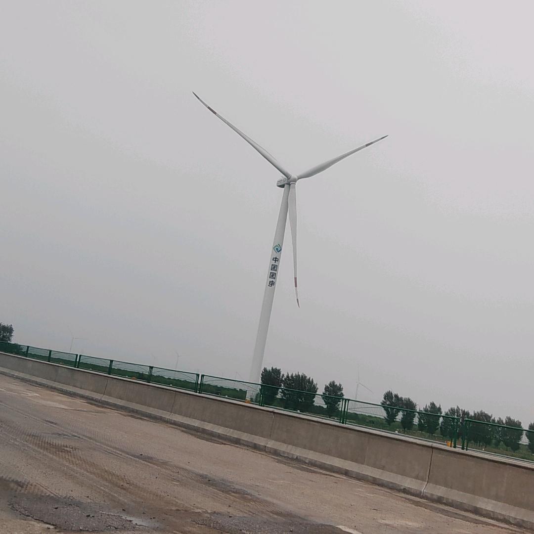 王老师