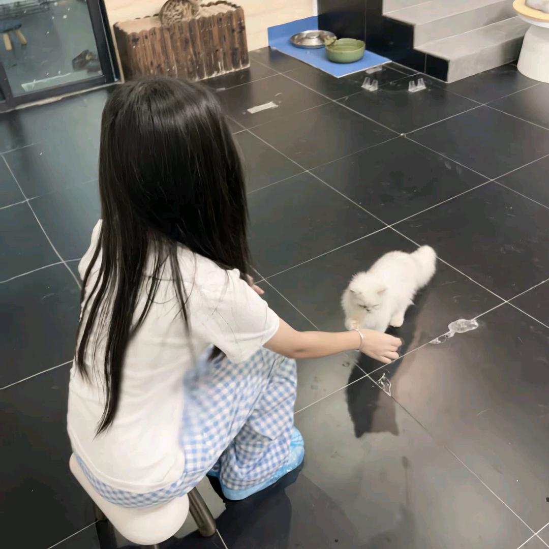 懒洋洋