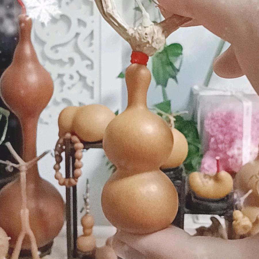 爱葫芦的胖虎
