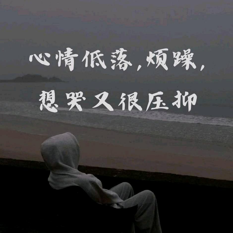 荷花【580】