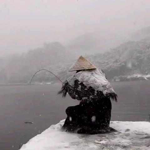 重生之我是钓鱼佬