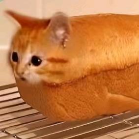 皓子爱次麦芽糖