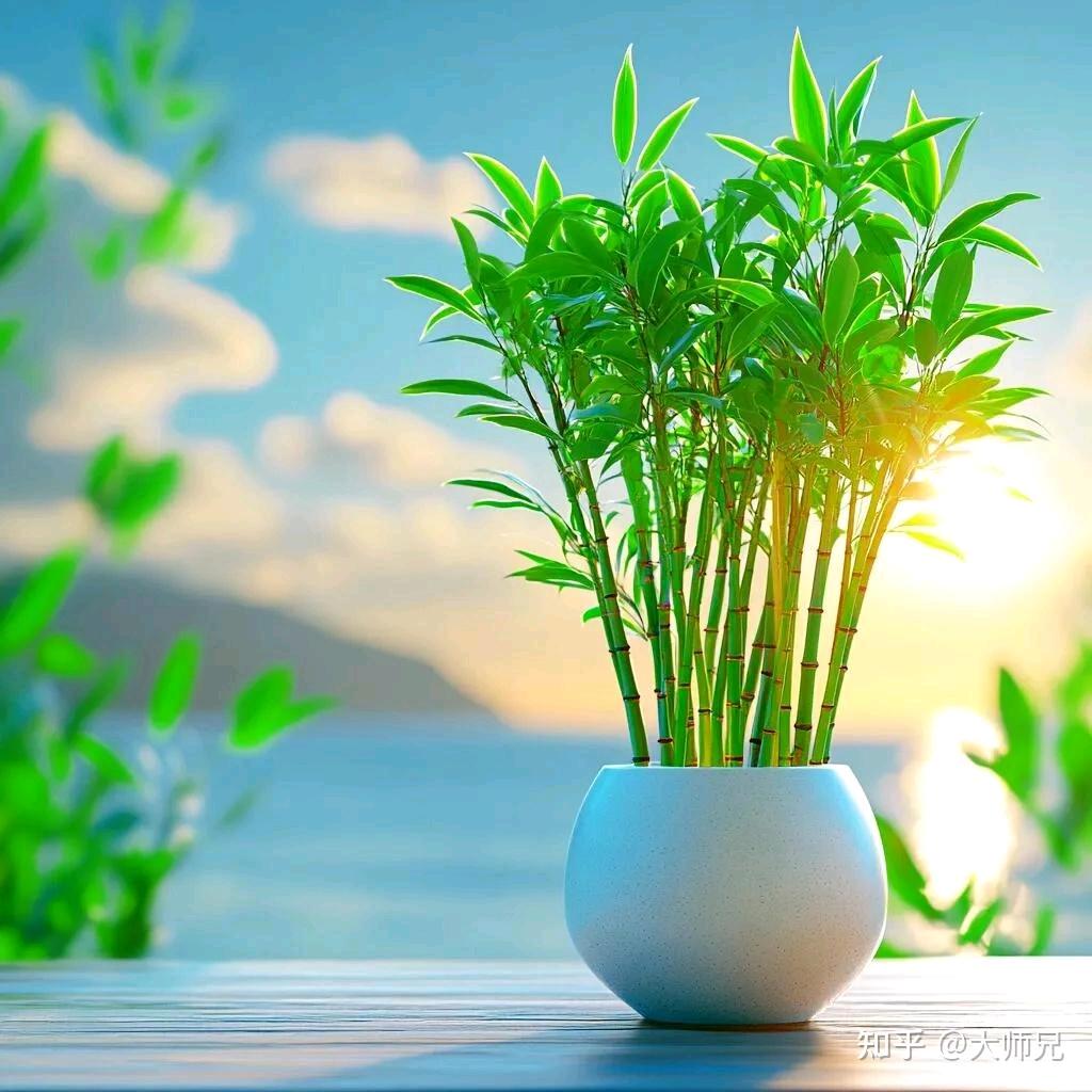 赵思暮想