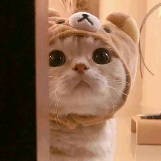 一条难钓的鱼
