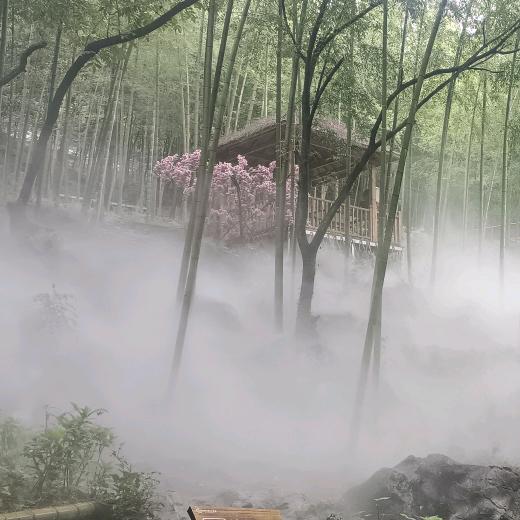 零聚