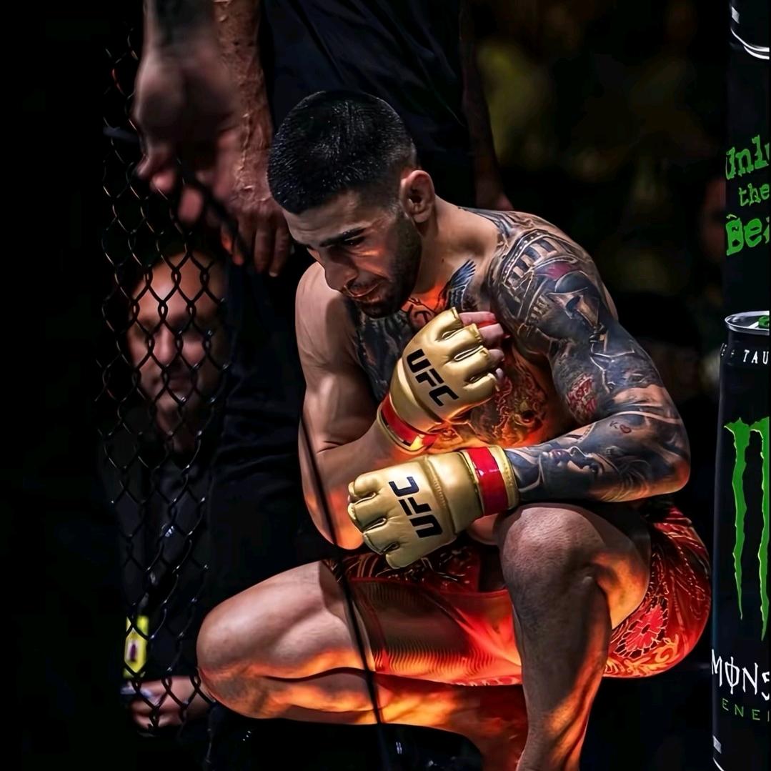 自己撑伞前行 ☔️失信者勿近❌