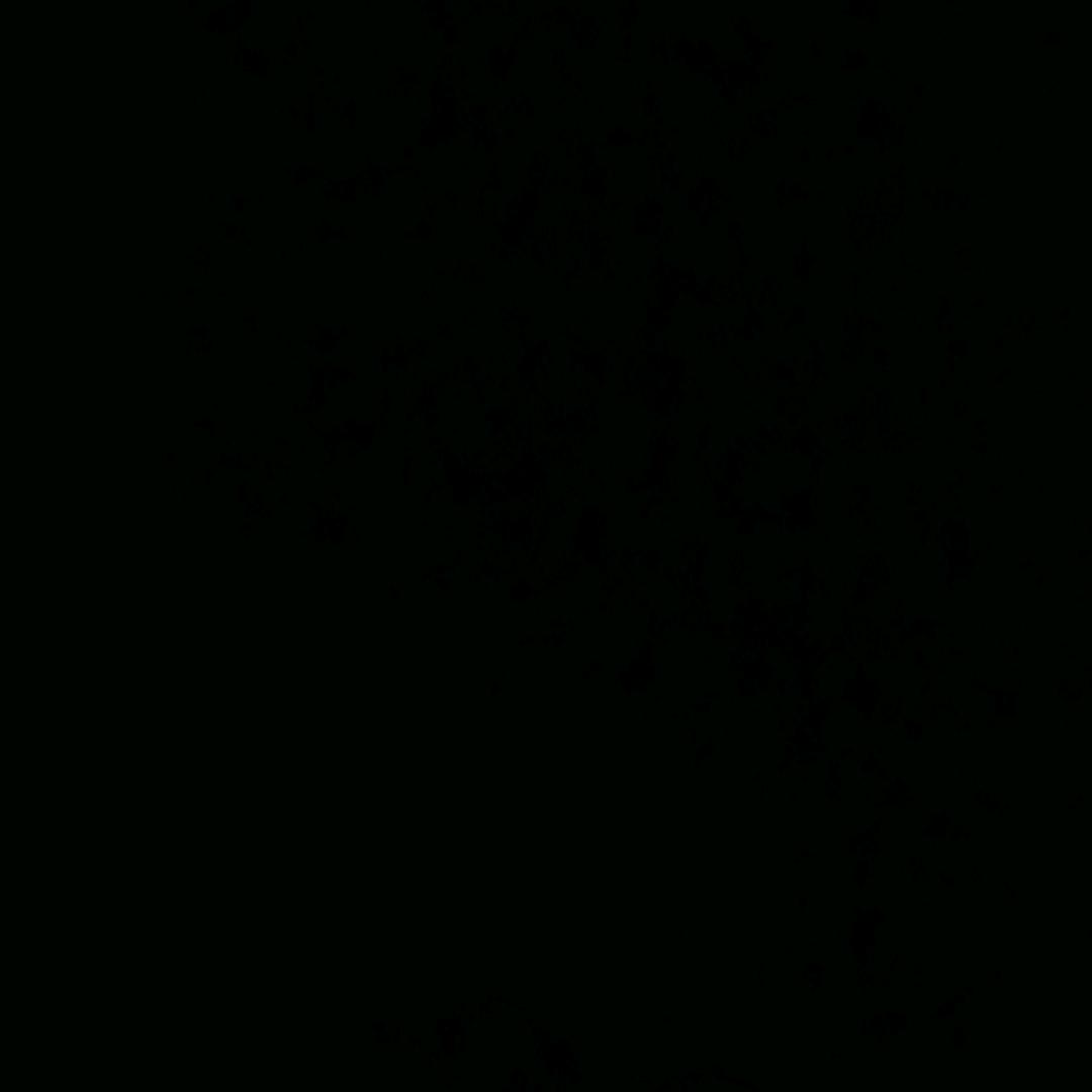 黑名单里的故人