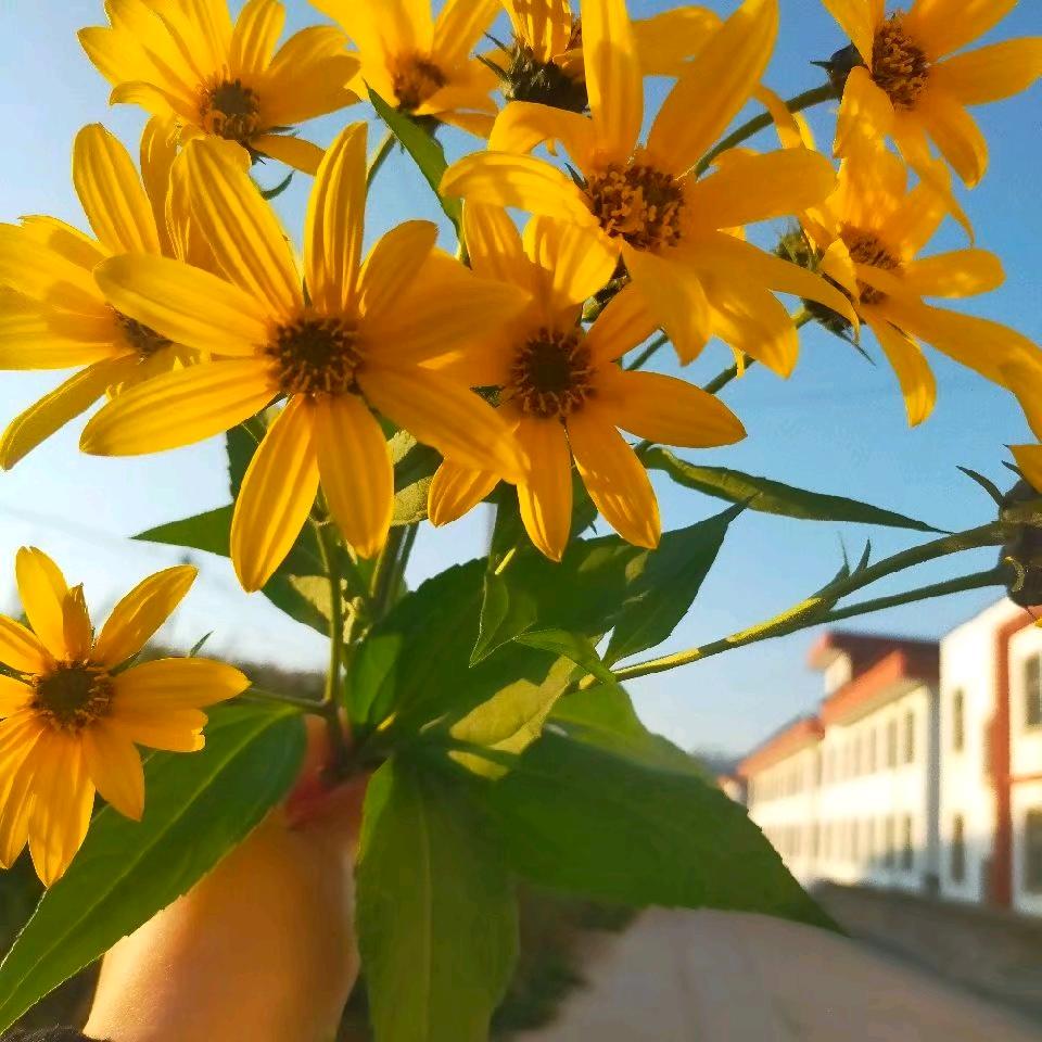 💘💘自由自在