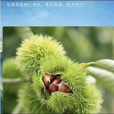 精选优质百货