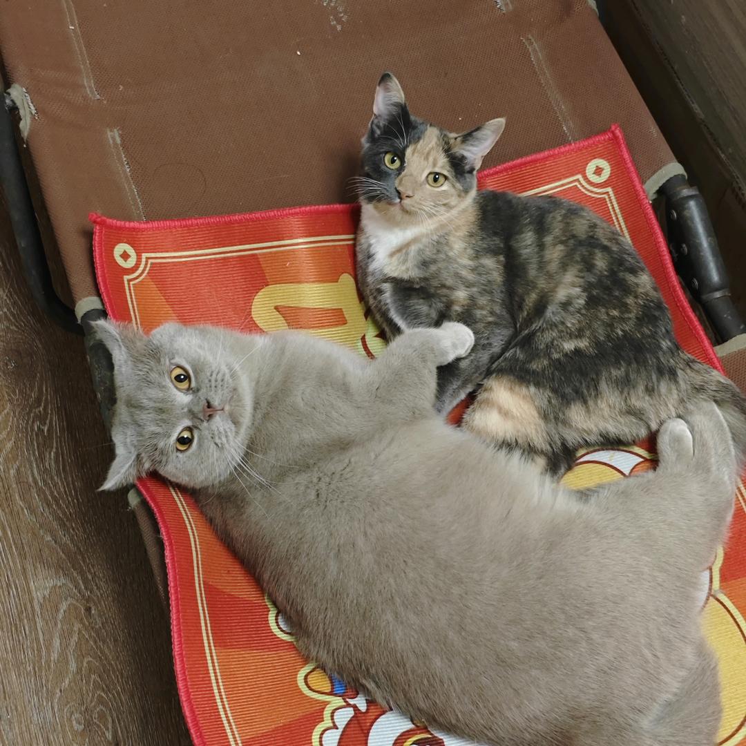 做梦变成了酒吧救火的铁t