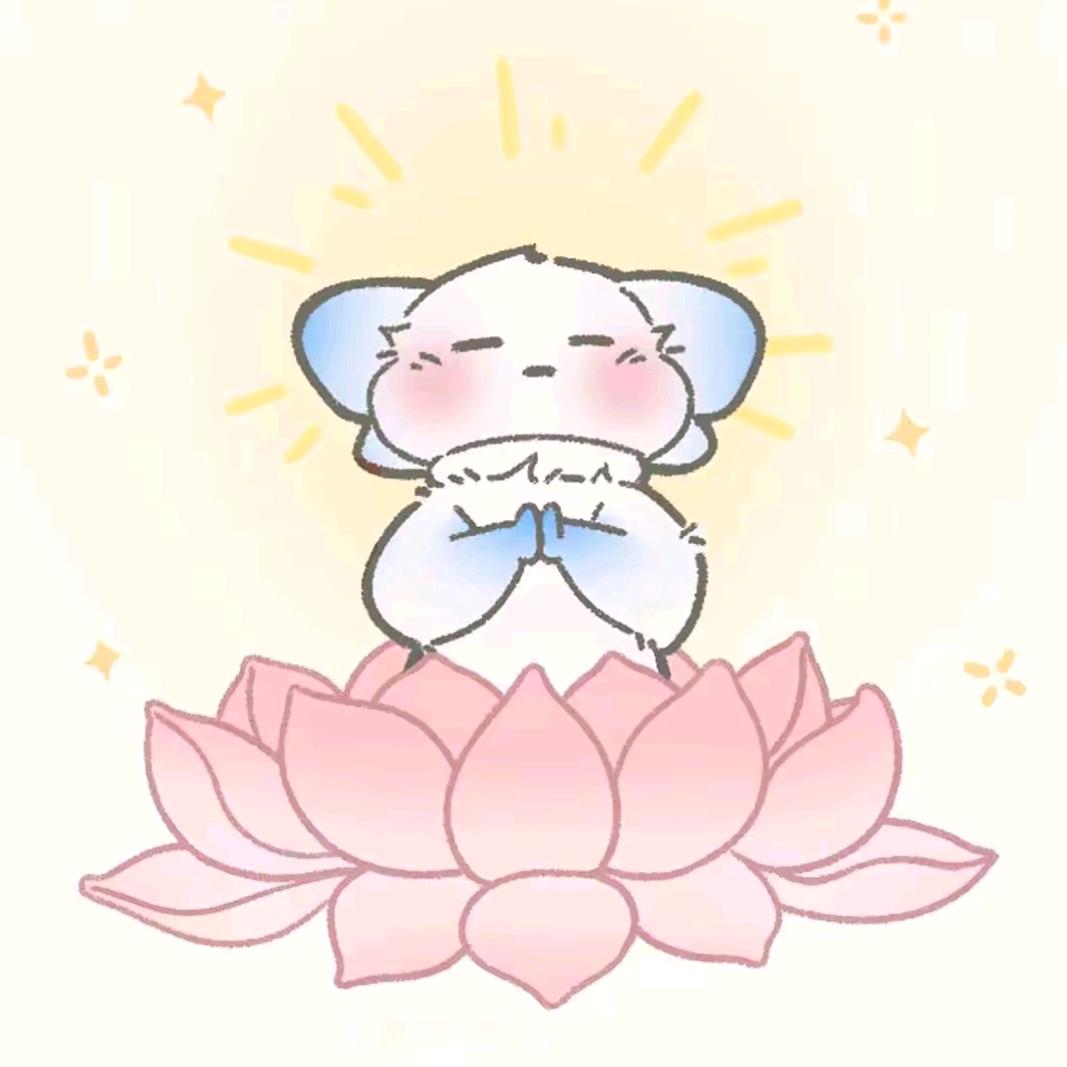 晨晨