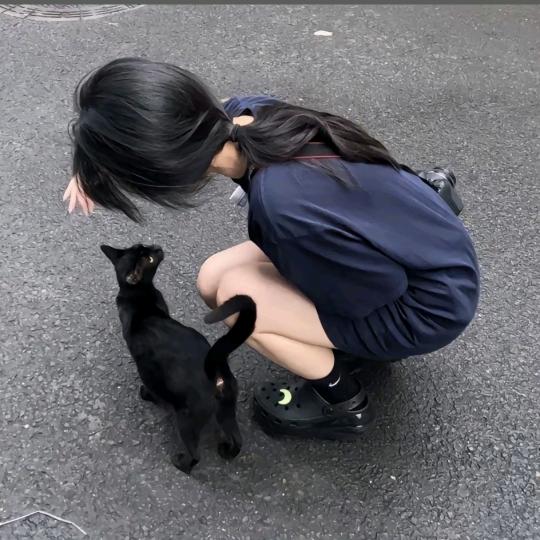 06糕冷小鱼
