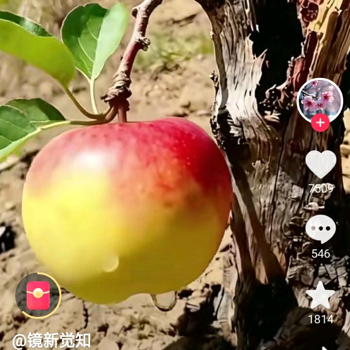 平安7723