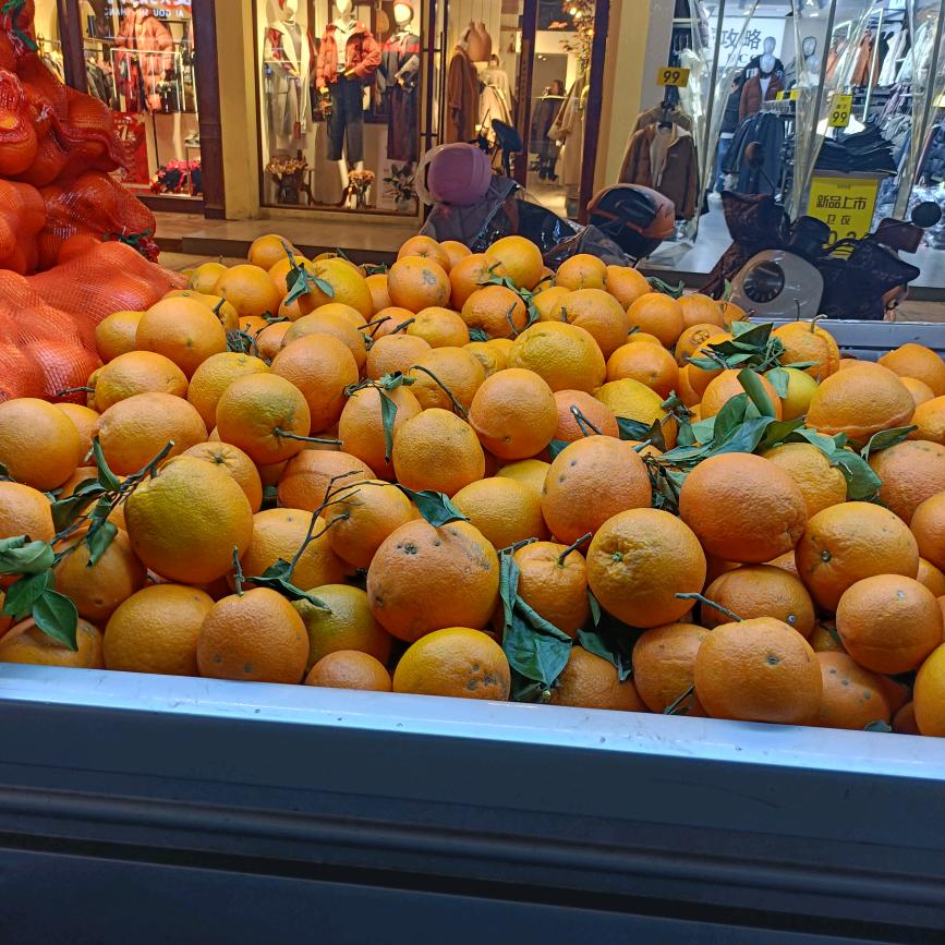 怀念过往