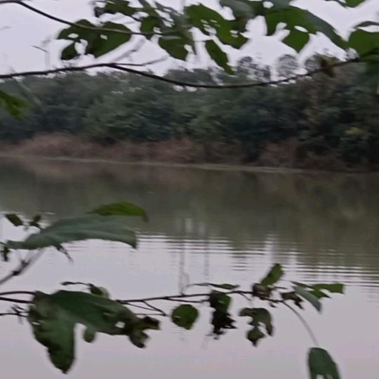 阿明水产收购批发