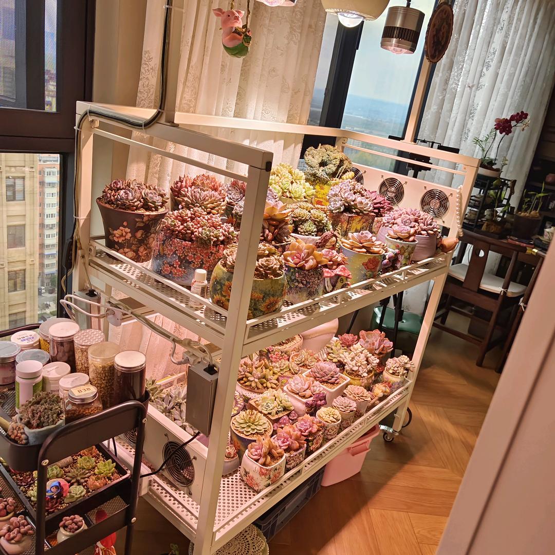 大型积木工作室