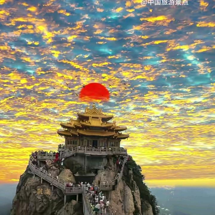 老肆💽