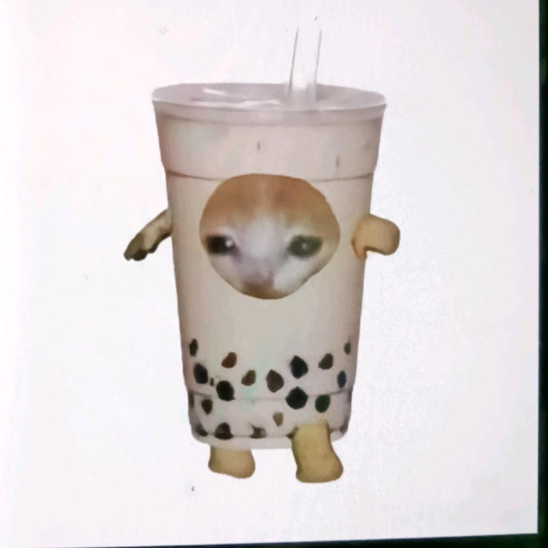 奶茶猫meme