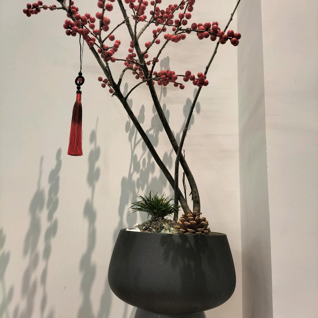 木棉花的春天