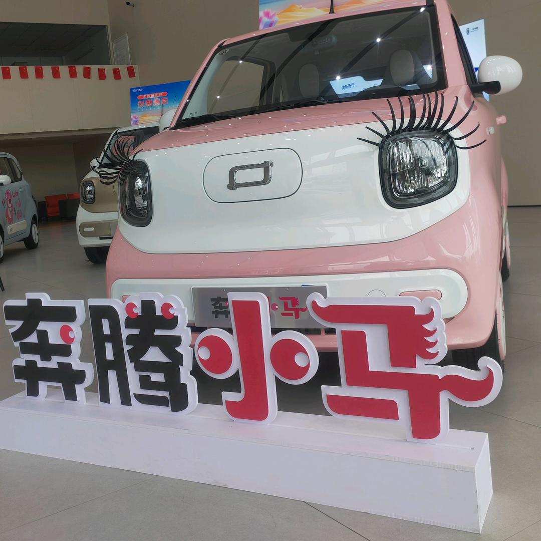 濮阳市正元汽车销售服务有限责任公司