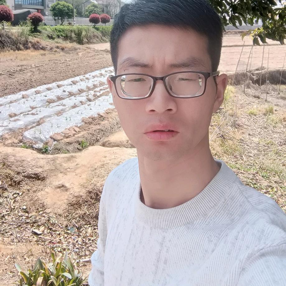 华  仔