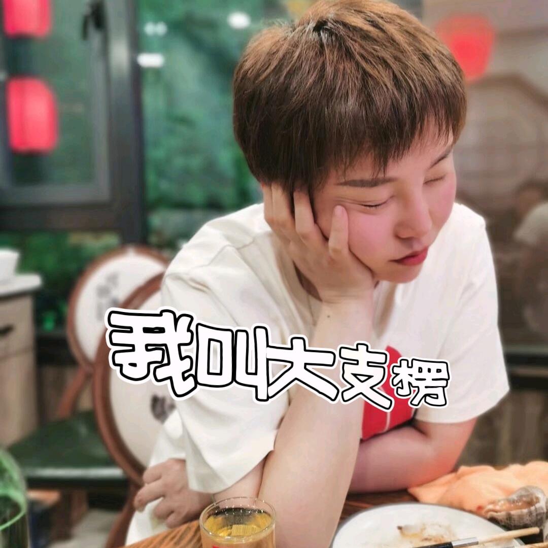 我叫大支楞