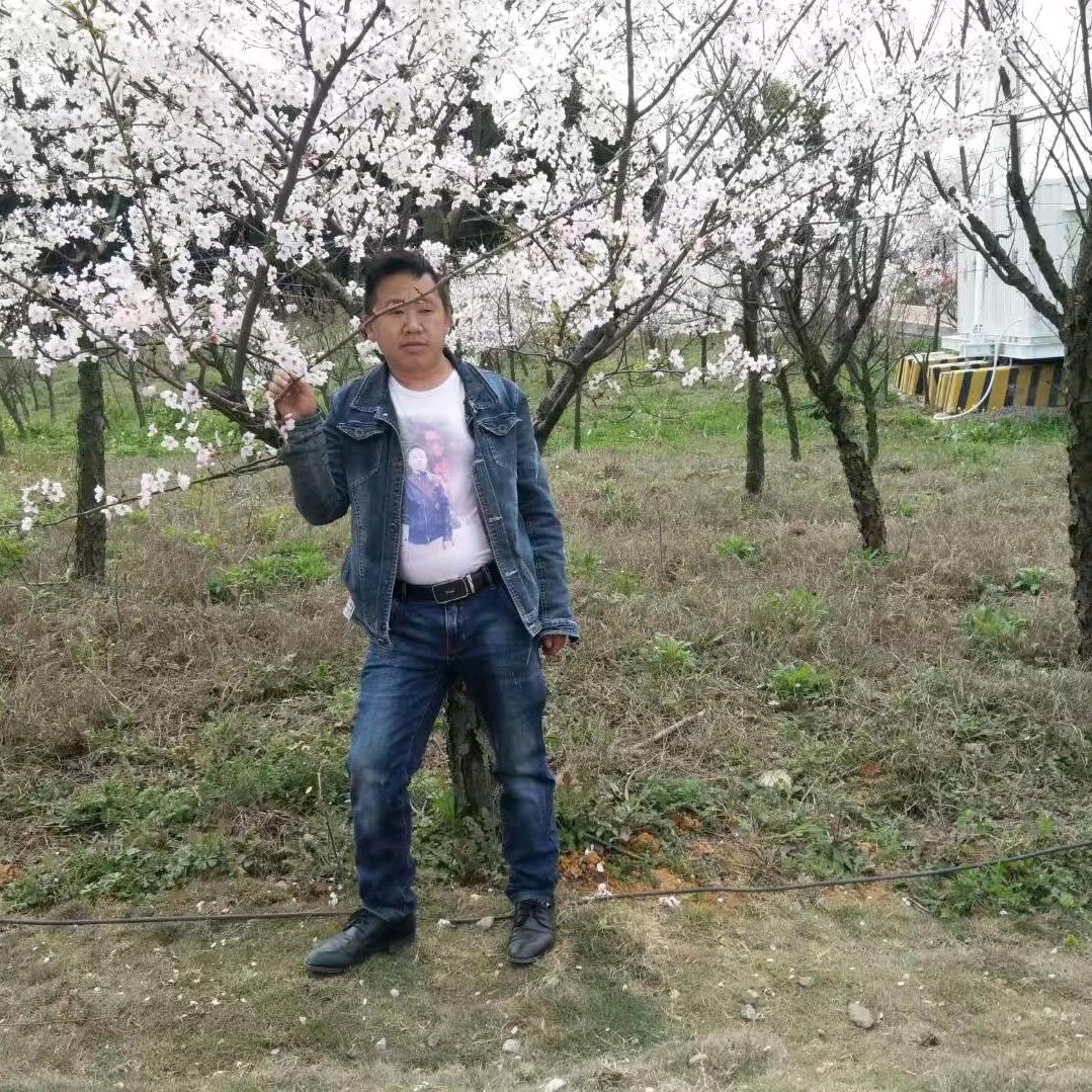 一切随缘？
