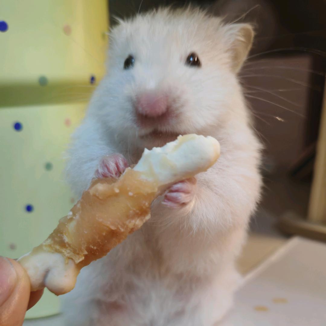 超级贝贝贝