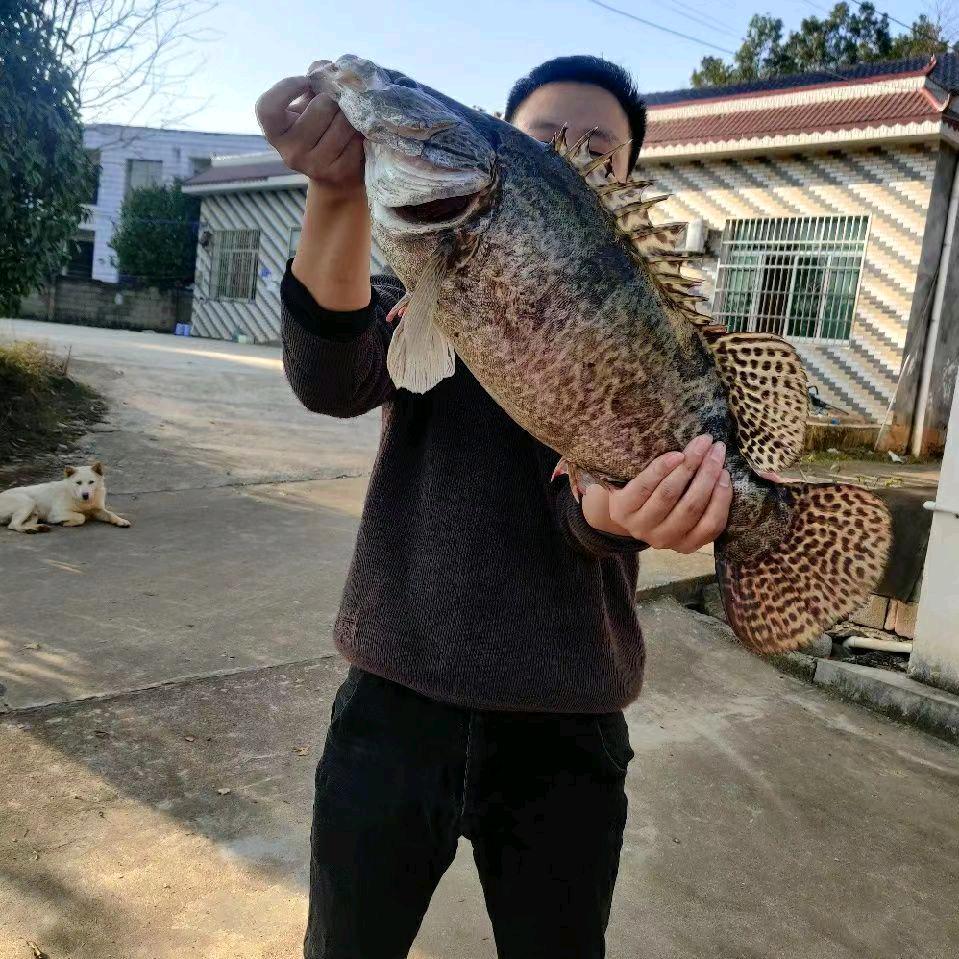 寰宇天下商业店