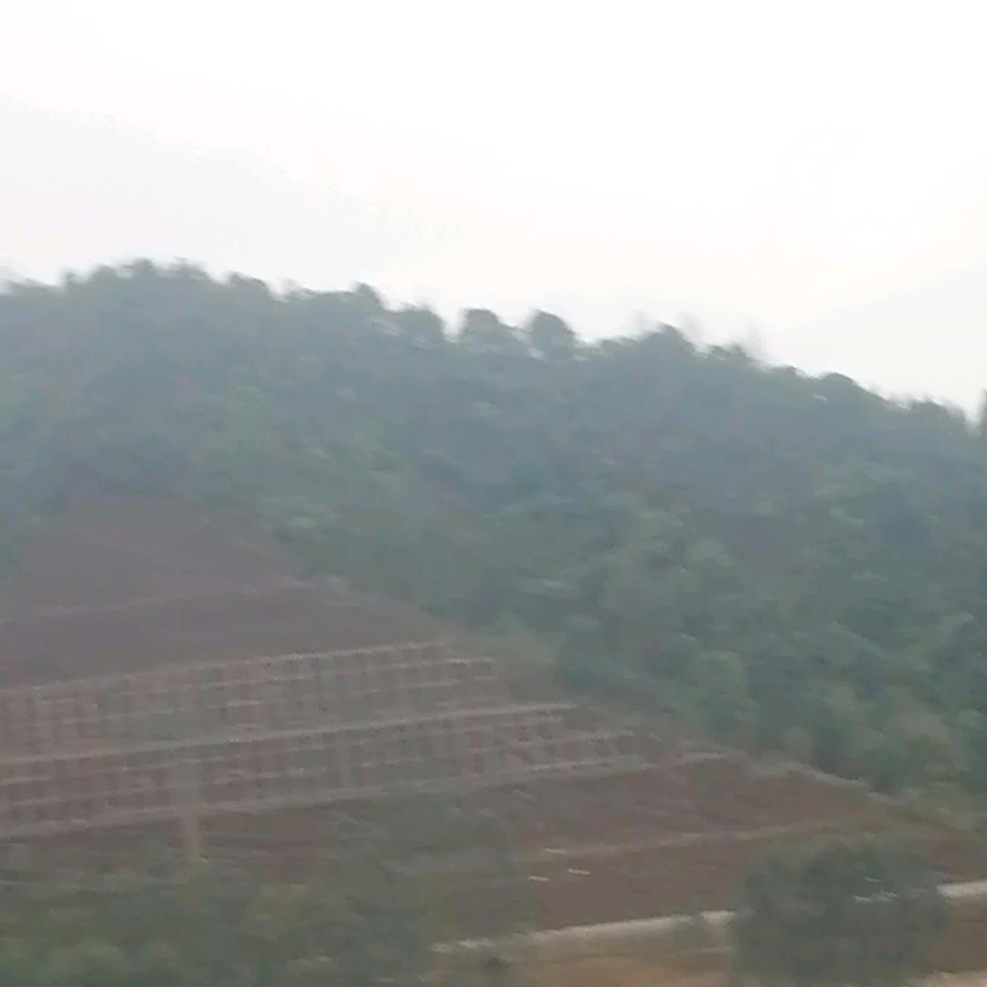9964806266618