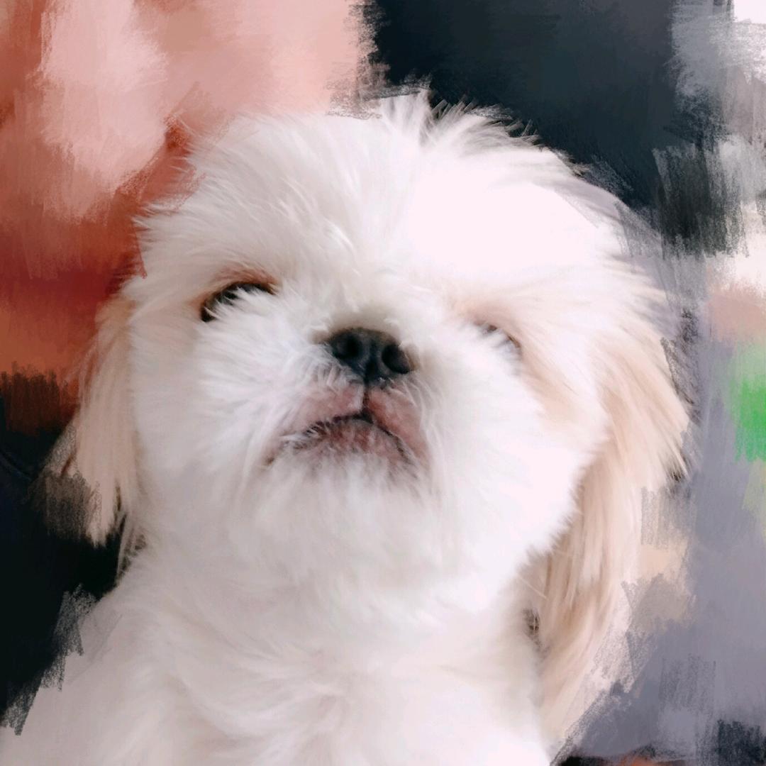 粗霉啊