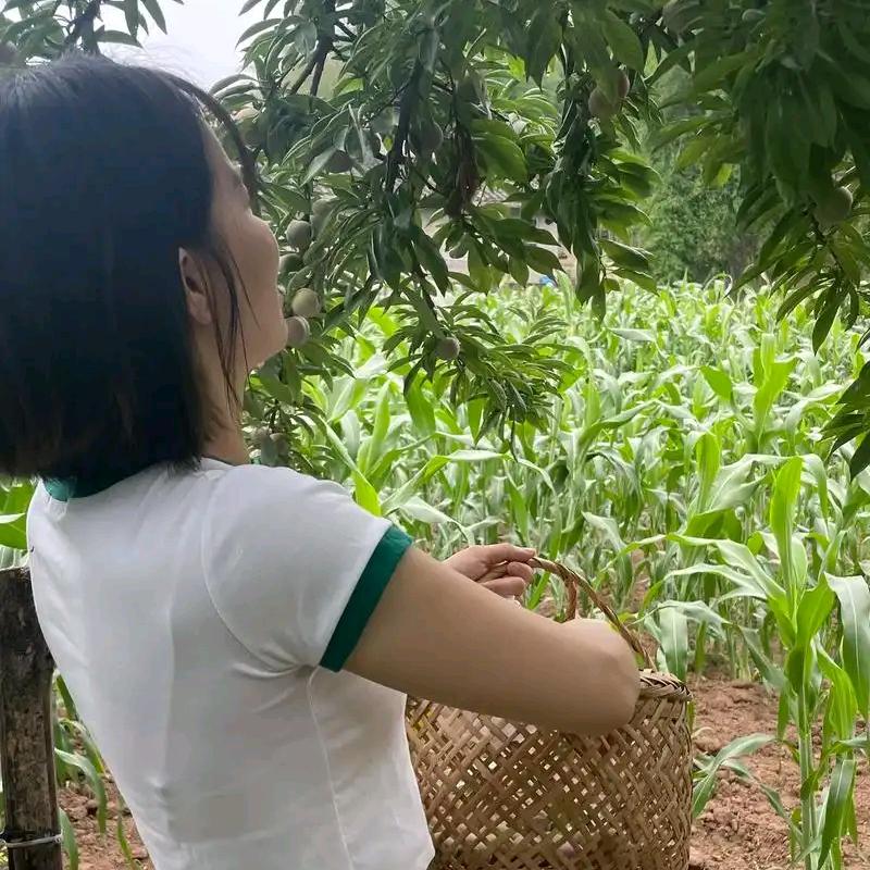 山窝窝小鱼