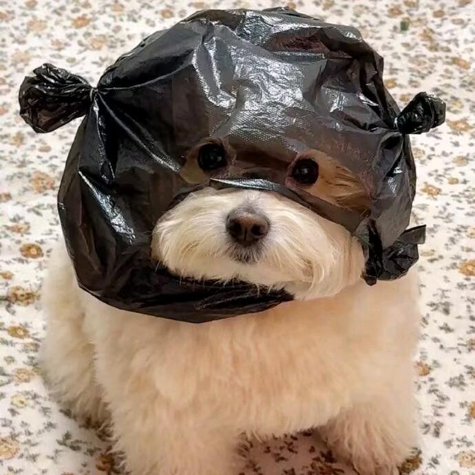 独钓寒江雪媚娘