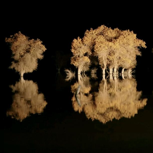 柠檬芒果一家亲