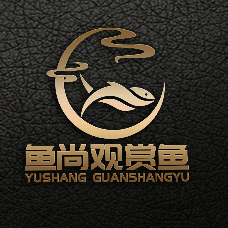 鱼尚观赏鱼