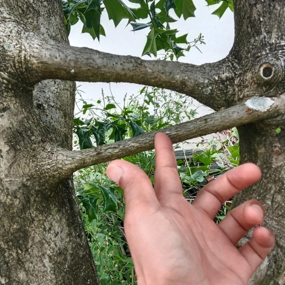 人间烟火
