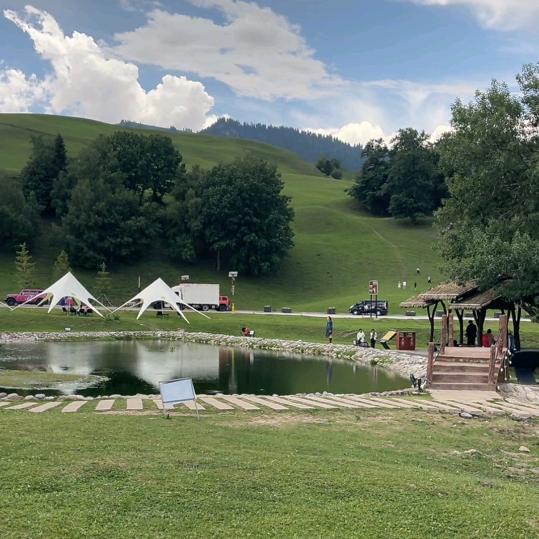 ✺雄鹰💐慕雪✺