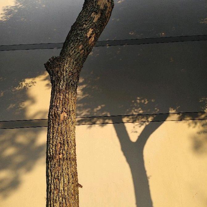 孫&sun