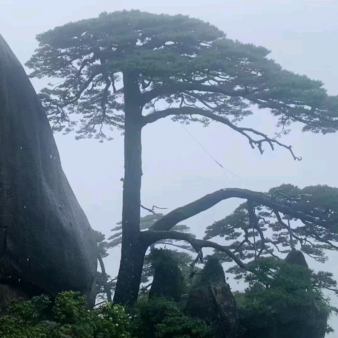 骑着马车去看海